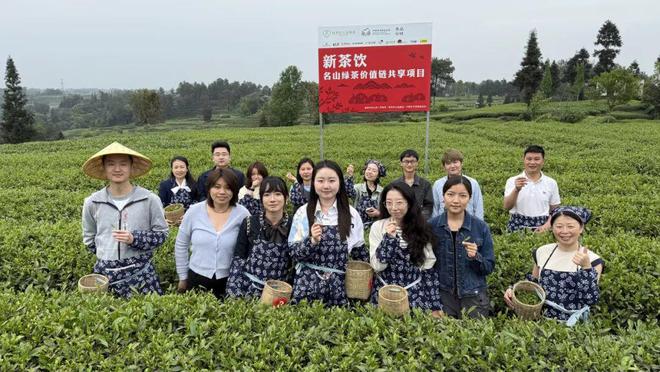 从茶园到新茶饮：多方聚力共探蒙顶山茶产业振兴之路